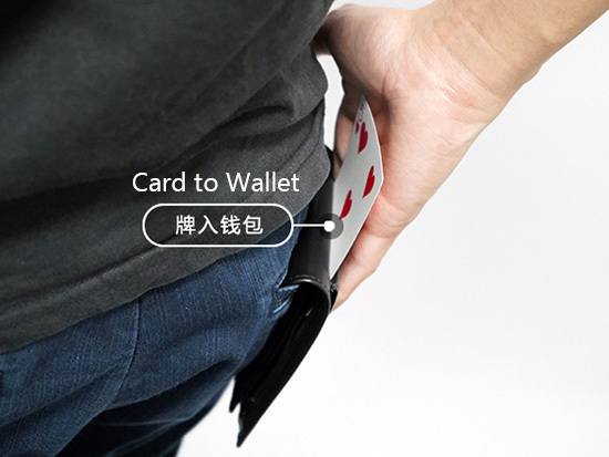Extended Wallet 2.0 by LT Magic showing Card to Wallet